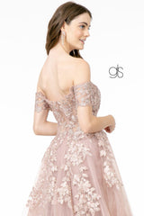 Embroidered Mesh A-Line Long Prom Dress